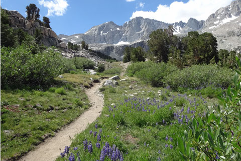 trail leading up to Forester Pass, Kings Canyon National Park, California