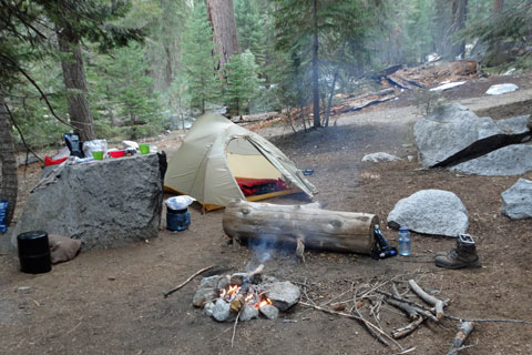 Middle Paradise Valley campsite, Kings Canyon National Park, California